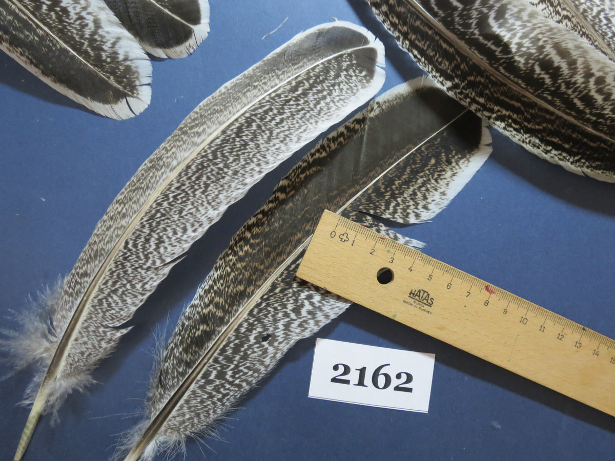 40 Pcs Turkey Wing Feathers, Fly Tying Material,Craft Feathers,Natural Turkey Feathers (2162)