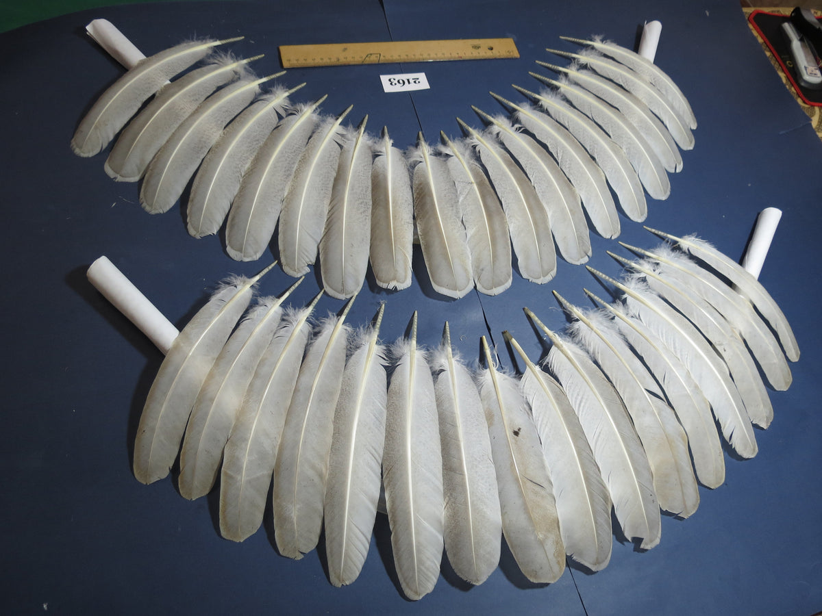34 Pcs Turkey Wing Feathers, Fly Tying Material,Craft Feathers,Natural Turkey Feathers (2163)