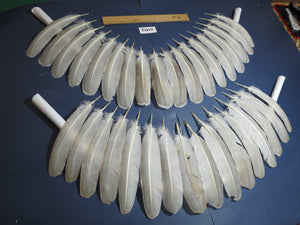34 Pcs Turkey Wing Feathers, Fly Tying Material,Craft Feathers,Natural Turkey Feathers (2163)