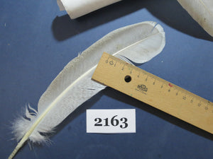 34 Pcs Turkey Wing Feathers, Fly Tying Material,Craft Feathers,Natural Turkey Feathers (2163)