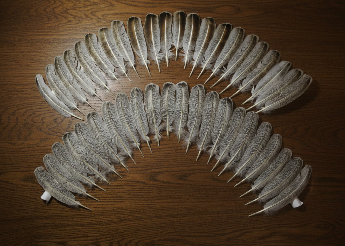 natural turkey feathers