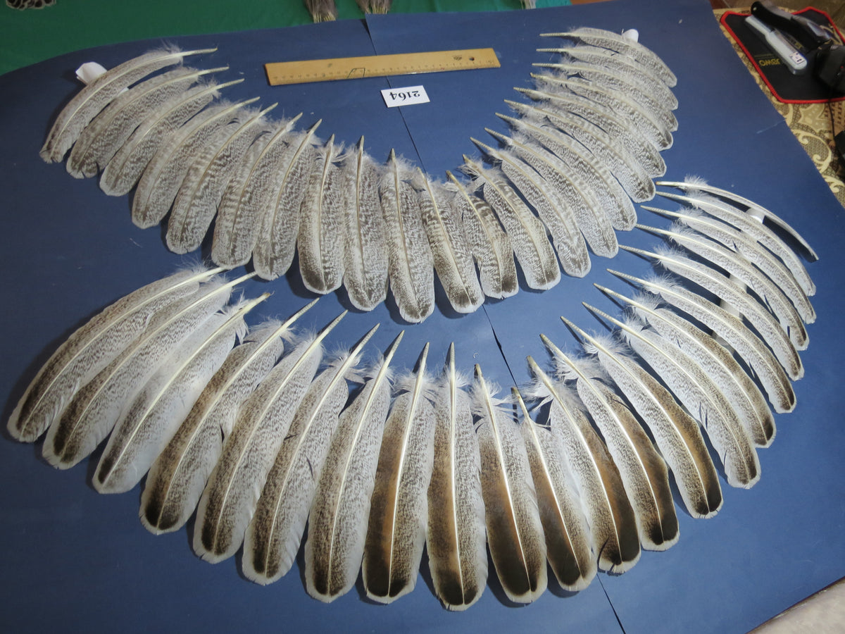 44 Pcs Turkey Wing Feathers, Fly Tying Material,Craft Feathers,Natural Turkey Feathers (2164)
