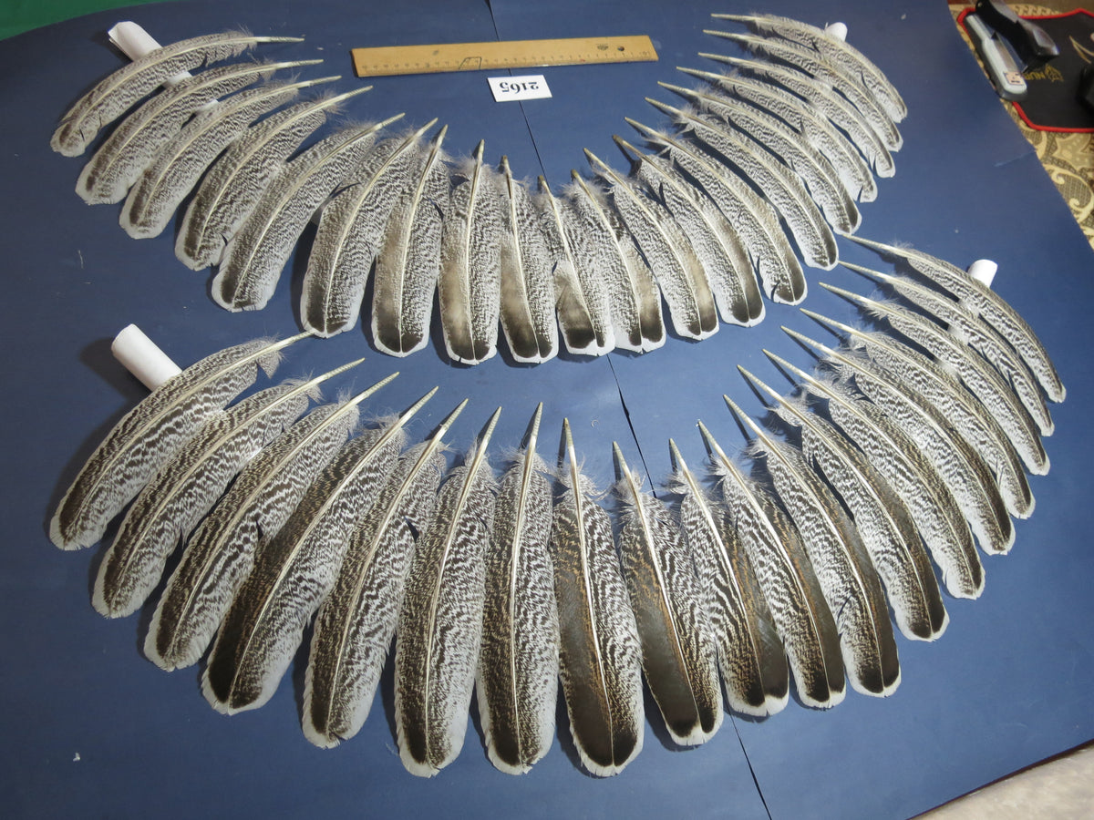 38 Pcs Turkey Wing Feathers, Fly Tying Material,Craft Feathers,Natural Turkey Feathers (2165)