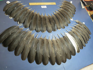 40 Pcs Natural Turkey Wing Feathers, Turkey Feathers,Fly Tying Material,Craft Feathers,Natural Feathers (2166)