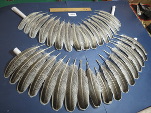 34 Pcs Turkey Wing Feathers, Fly Tying Material,Craft Feathers,Natural Turkey Feathers (2167)