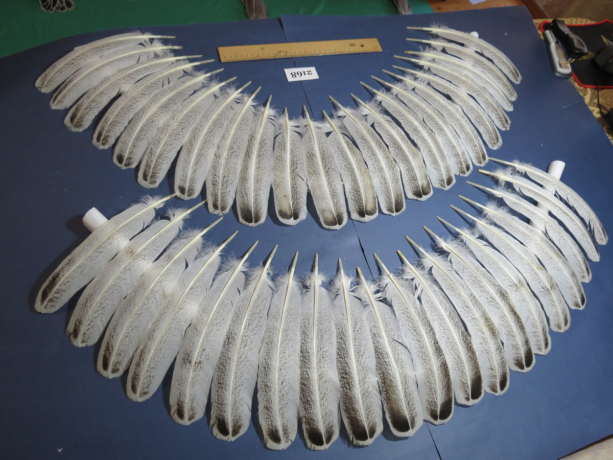 42 Pcs Turkey Wing Feathers, Fly Tying Material,Craft Feathers,Natural Turkey Feathers (2168)