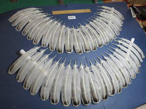 42 Pcs Turkey Wing Feathers, Fly Tying Material,Craft Feathers,Natural Turkey Feathers (2168)
