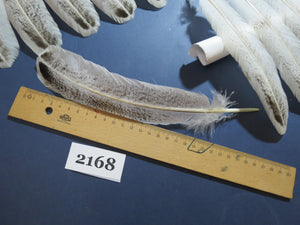 42 Pcs Turkey Wing Feathers, Fly Tying Material,Craft Feathers,Natural Turkey Feathers (2168)