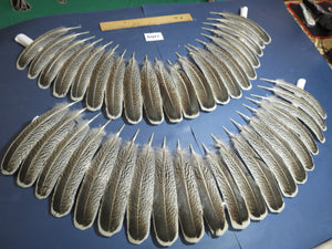 40 Pcs Turkey Wing Feathers, Fly Tying Material,Craft Feathers,Natural Turkey Feathers (2169)