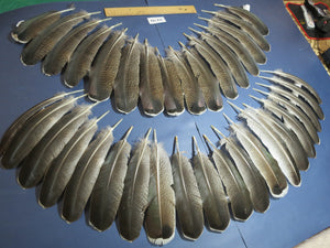 36 Pcs Turkey Wing Feathers, Fly Tying Material,Craft Feathers,Natural Turkey Feathers (2170)