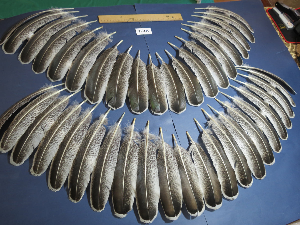 44 Pcs Turkey Wing Feathers, Fly Tying Material,Craft Feathers,Natural Turkey Feathers (2171)