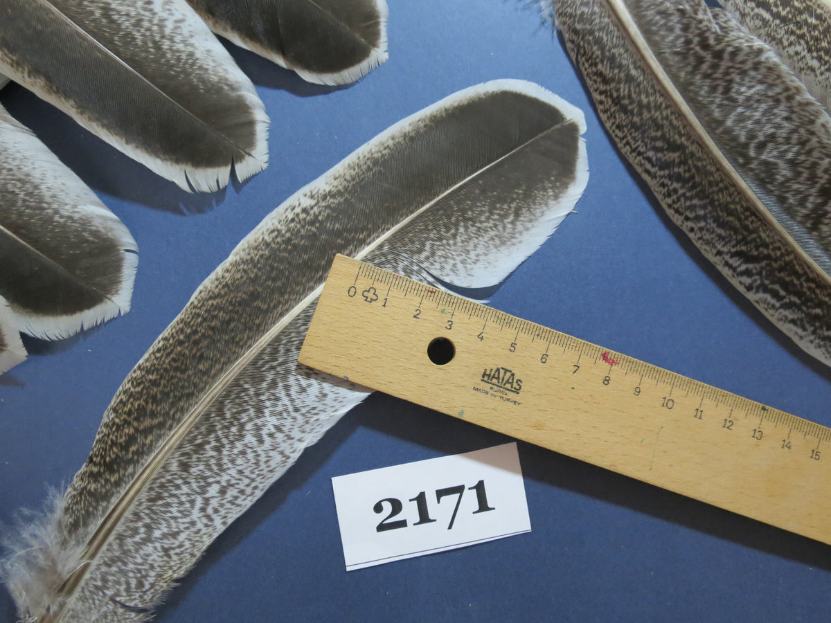 44 Pcs Turkey Wing Feathers, Fly Tying Material,Craft Feathers,Natural Turkey Feathers (2171)