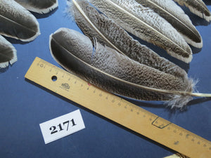 44 Pcs Turkey Wing Feathers, Fly Tying Material,Craft Feathers,Natural Turkey Feathers (2171)