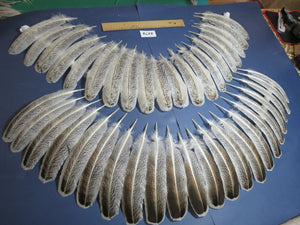 42 Pcs Turkey Wing Feathers, Fly Tying Material,Craft Feathers,Natural Turkey Feathers (2172)