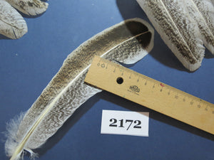 42 Pcs Turkey Wing Feathers, Fly Tying Material,Craft Feathers,Natural Turkey Feathers (2172)