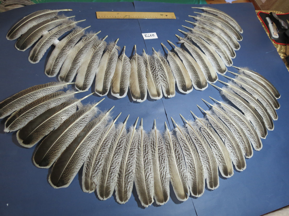 42 Pcs Turkey Wing Feathers, Fly Tying Material,Craft Feathers,Natural Turkey Feathers (2173)
