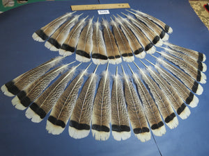 28 Pcs Turkey Tail Feathers, Fly Tying Material,Craft Feathers,Natural Turkey Feathers (2175)