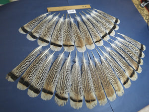 28 Pcs Turkey Tail Feathers, Fly Tying Material,Craft Feathers,Natural Turkey Feathers (2177)