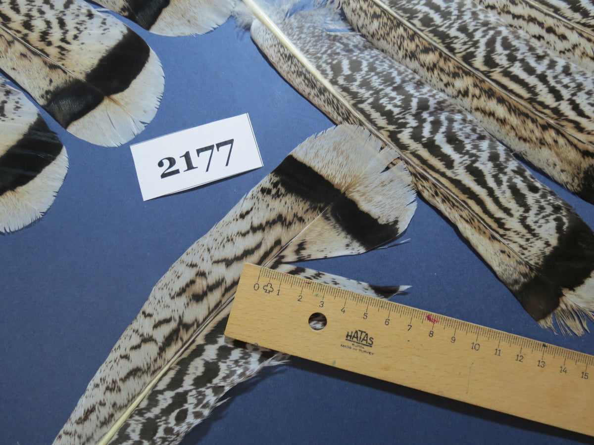 28 Pcs Turkey Tail Feathers, Fly Tying Material,Craft Feathers,Natural Turkey Feathers (2177)