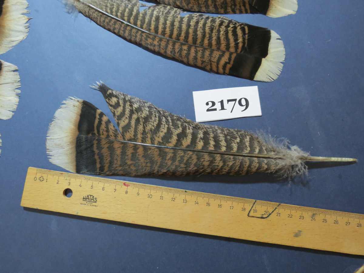 28 Pcs Turkey Tail Feathers, Fly Tying Material,Craft Feathers,Natural Turkey Feathers (2179)