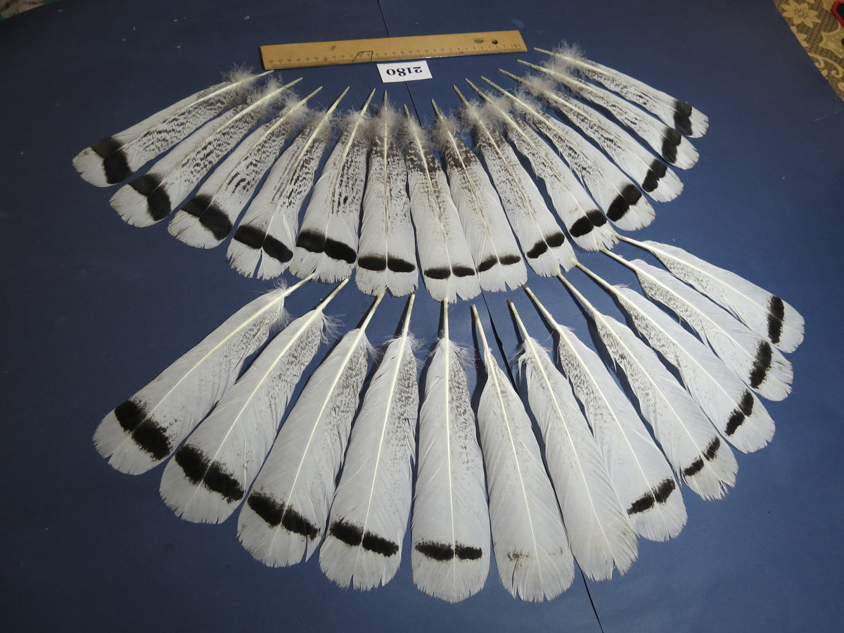 26 Pcs Turkey Tail Feathers, Fly Tying Material,Craft Feathers,Natural Turkey Feathers (2180)