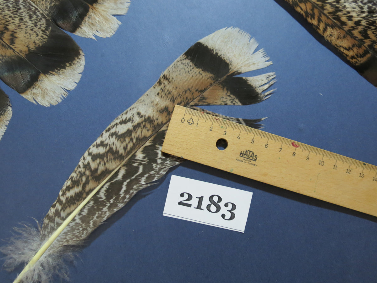 28 Pcs Turkey Tail Feathers, Fly Tying Material,Craft Feathers,Natural Turkey Feathers (2183)