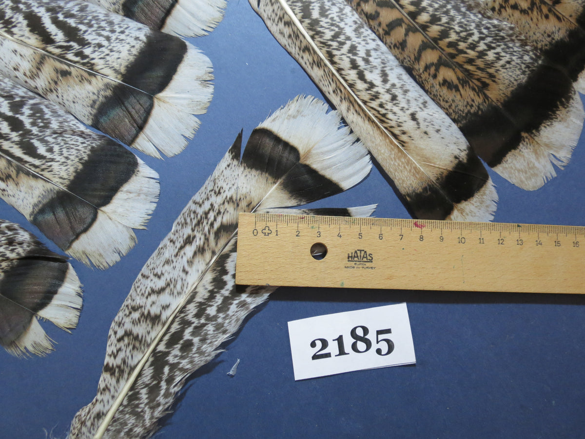 34 Pcs Turkey Tail Feathers, Fly Tying Material,Craft Feathers,Natural Turkey Feathers (2185)