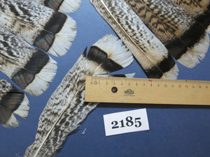 34 Pcs Turkey Tail Feathers, Fly Tying Material,Craft Feathers,Natural Turkey Feathers (2185)
