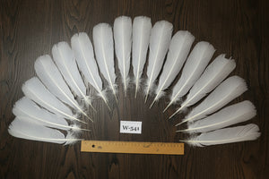 natural turkey feathers