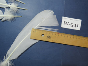 16 Pcs White Turkey Tail Feathers, Turkey Feathers,Fly Tying Material,Craft Feathers,Natural Turkey Feathers (W-541)