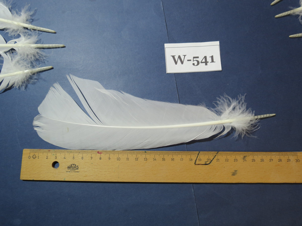 16 Pcs White Turkey Tail Feathers, Turkey Feathers,Fly Tying Material,Craft Feathers,Natural Turkey Feathers (W-541)