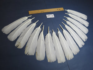 14 Pcs White Turkey Tail Feathers, Turkey Feathers,Fly Tying Material,Craft Feathers,Natural Turkey Feathers (W-542)