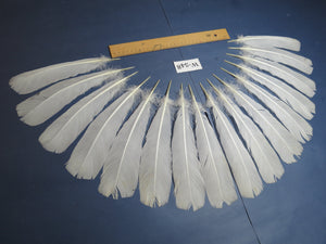16 Pcs White Turkey Tail Feathers, Turkey Feathers,Fly Tying Material,Craft Feathers,Natural Turkey Feathers (W-548)