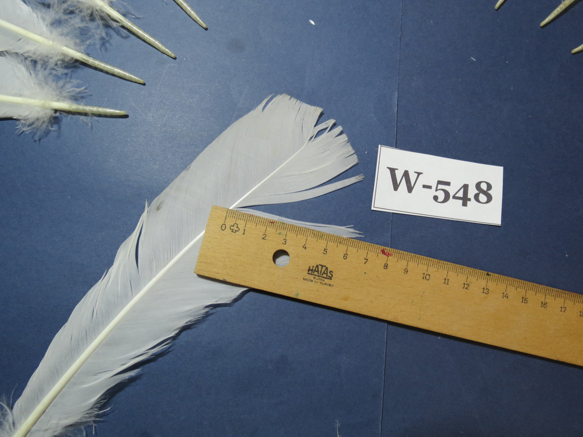 16 Pcs White Turkey Tail Feathers, Turkey Feathers,Fly Tying Material,Craft Feathers,Natural Turkey Feathers (W-548)