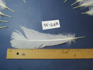 16 Pcs White Turkey Tail Feathers, Turkey Feathers,Fly Tying Material,Craft Feathers,Natural Turkey Feathers (W-548)