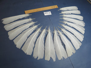 16 Pcs White Turkey Tail Feathers, Turkey Feathers,Fly Tying Material,Craft Feathers,Natural Turkey Feathers (W-549)