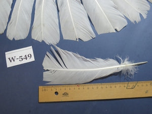 16 Pcs White Turkey Tail Feathers, Turkey Feathers,Fly Tying Material,Craft Feathers,Natural Turkey Feathers (W-549)