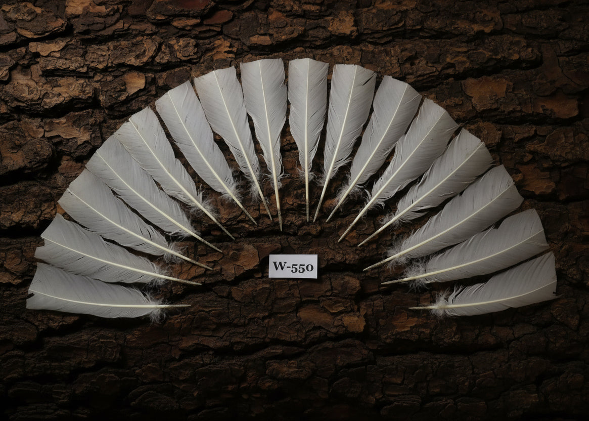 natural turkey feathers