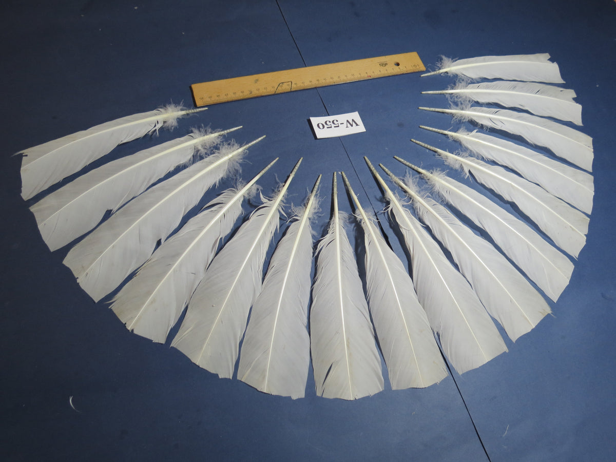 16 Pcs White Turkey Tail Feathers, Turkey Feathers,Fly Tying Material,Craft Feathers,Natural Turkey Feathers (W-550)