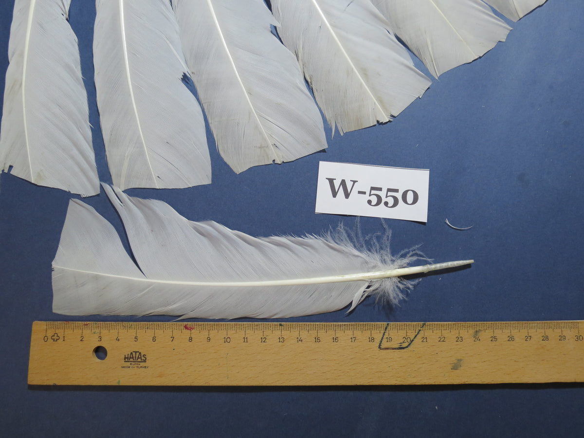 16 Pcs White Turkey Tail Feathers, Turkey Feathers,Fly Tying Material,Craft Feathers,Natural Turkey Feathers (W-550)