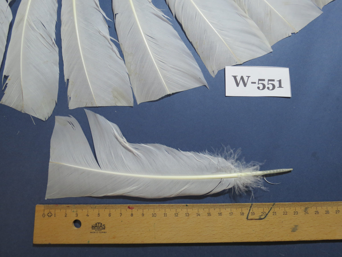 16 Pcs White Turkey Tail Feathers, Turkey Feathers,Fly Tying Material,Craft Feathers,Natural Turkey Feathers (W-551)