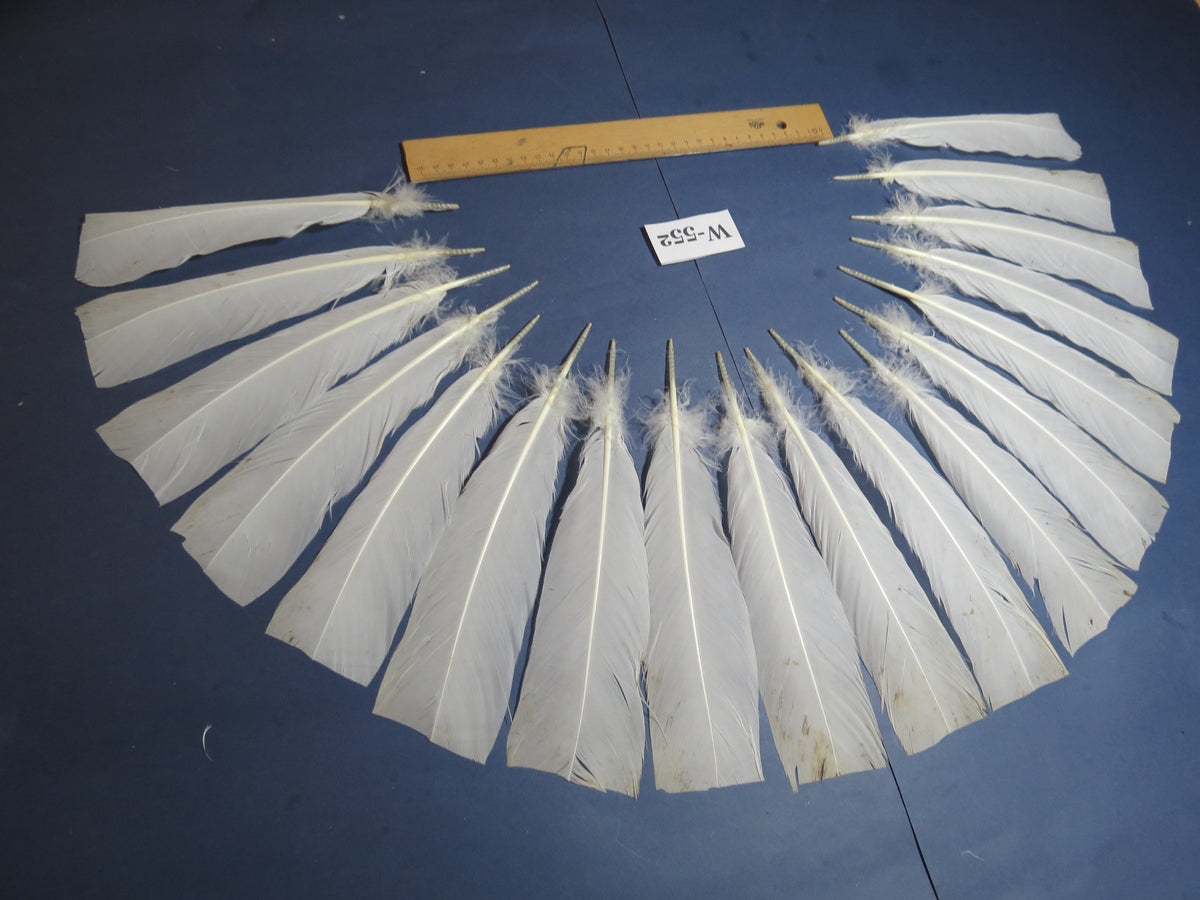 18 Pcs White Turkey Tail Feathers, Turkey Feathers,Fly Tying Material,Craft Feathers,Natural Turkey Feathers (W-552)