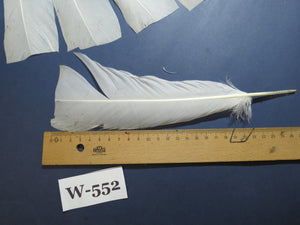 18 Pcs White Turkey Tail Feathers, Turkey Feathers,Fly Tying Material,Craft Feathers,Natural Turkey Feathers (W-552)