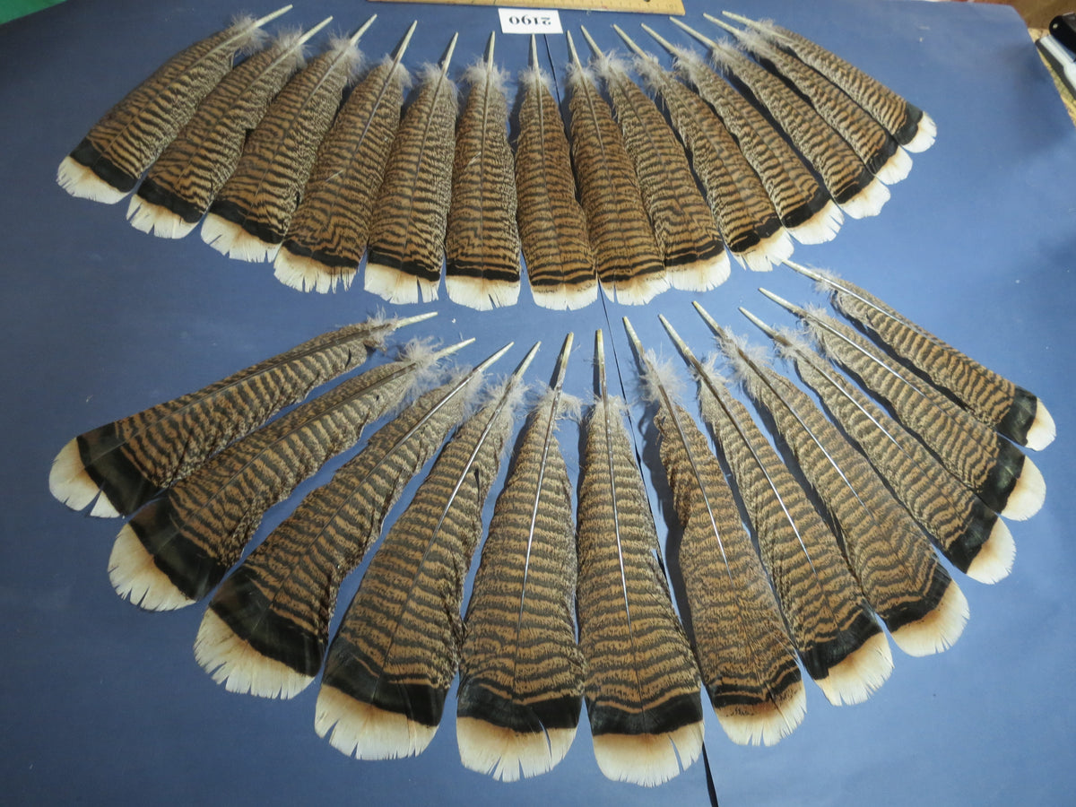 26 Pcs Turkey Tail Feathers, Fly Tying Material,Craft Feathers,Natural Turkey Feathers (2190)