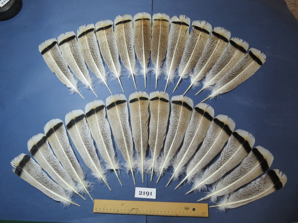 26 Pcs Turkey Tail Feathers, Fly Tying Material,Craft Feathers,Natural Turkey Feathers (2191)