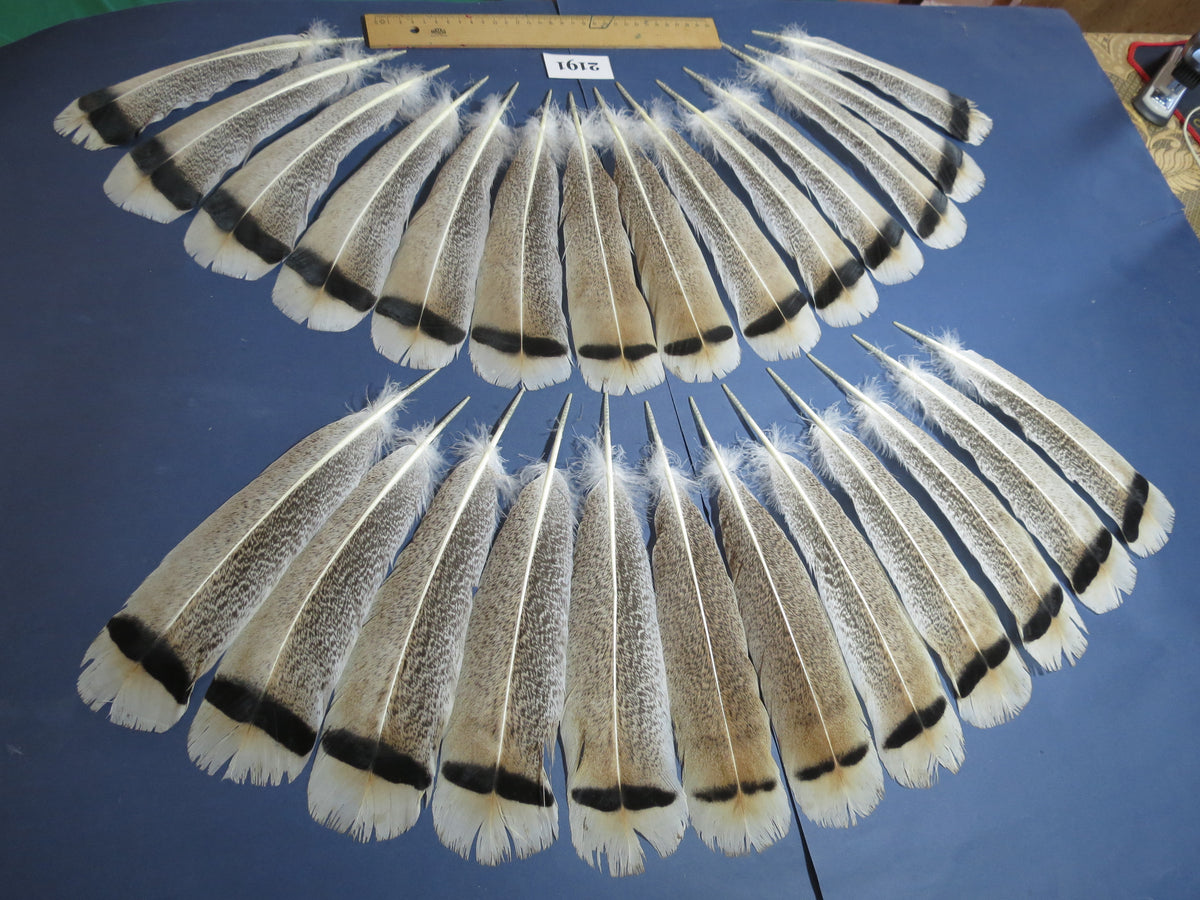26 Pcs Turkey Tail Feathers, Fly Tying Material,Craft Feathers,Natural Turkey Feathers (2191)