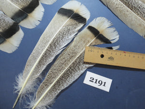 26 Pcs Turkey Tail Feathers, Fly Tying Material,Craft Feathers,Natural Turkey Feathers (2191)