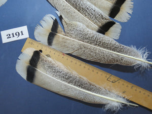 26 Pcs Turkey Tail Feathers, Fly Tying Material,Craft Feathers,Natural Turkey Feathers (2191)