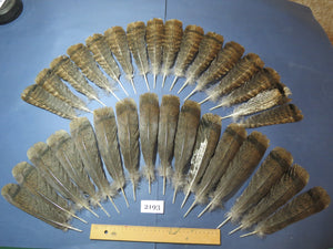 32 Pcs Turkey Tail Feathers, Fly Tying Material,Craft Feathers,Natural Turkey Feathers (2193)