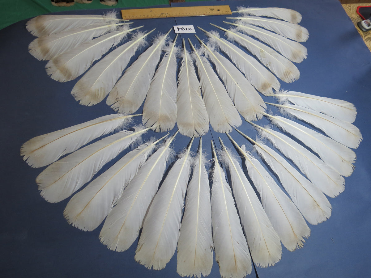 28 Pcs Turkey Tail Feathers, Fly Tying Material,Craft Feathers,Natural Turkey Feathers (2194)